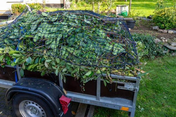 Best Moving and Downsizing Cleanouts  in New Haven, WV